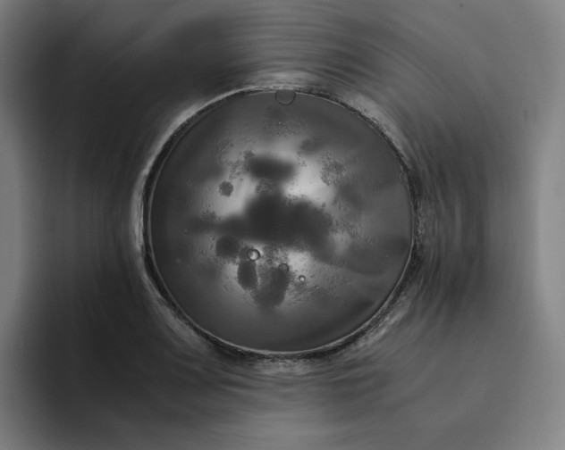 X0000094371083200711162106