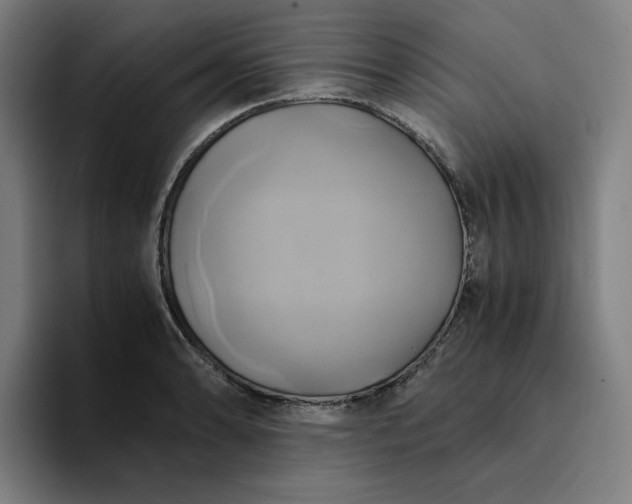 X0000094371086200711162106