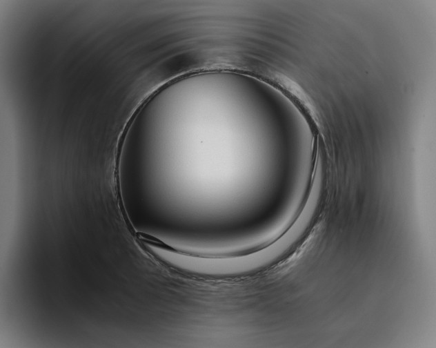 X0000094371089200711162106