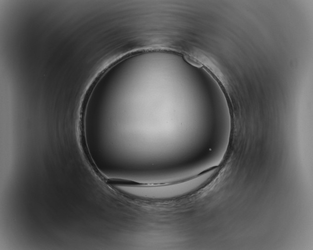 X0000094371093200711162106