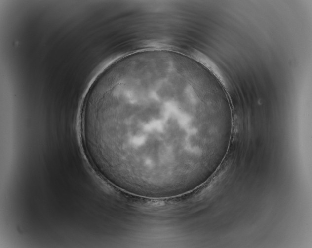 X0000094371098200711162105