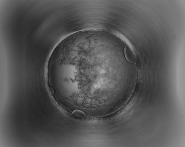 X0000094371099200711162105