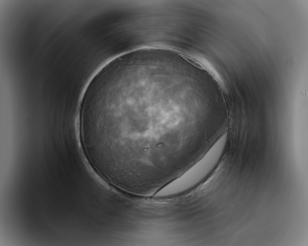 X0000094371100200711162105