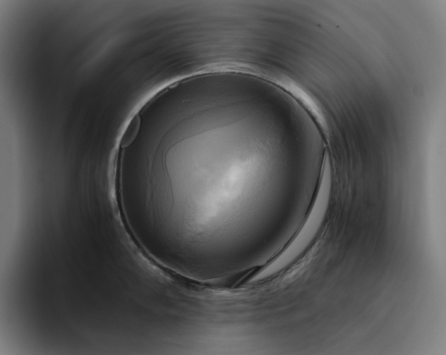X0000094371102200711162105