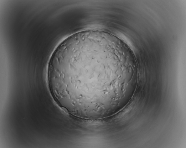 X0000094371103200711162105
