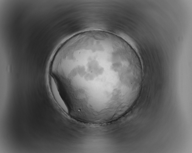 X0000094371104200711162105