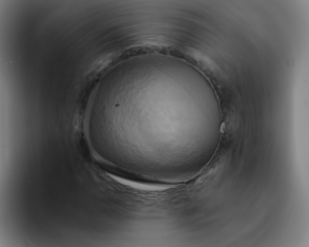 X0000094371110200711162105