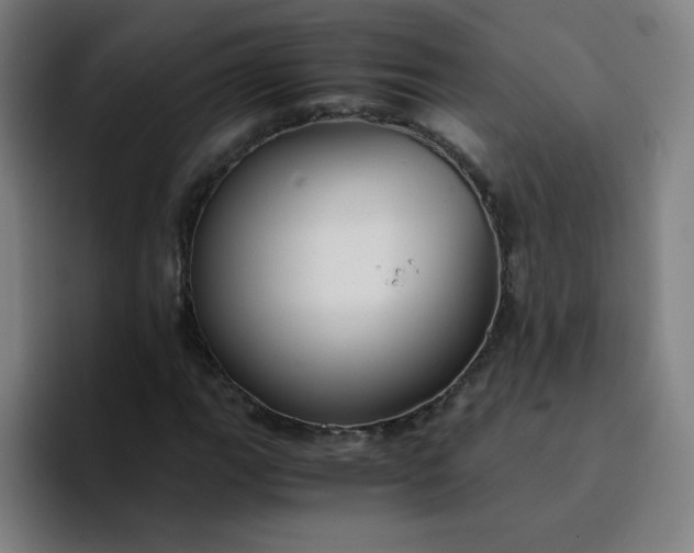 X0000094371111200711162105