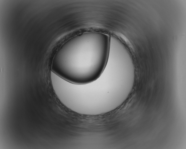 X0000094371112200711162105