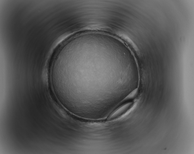 X0000094371114200711162105