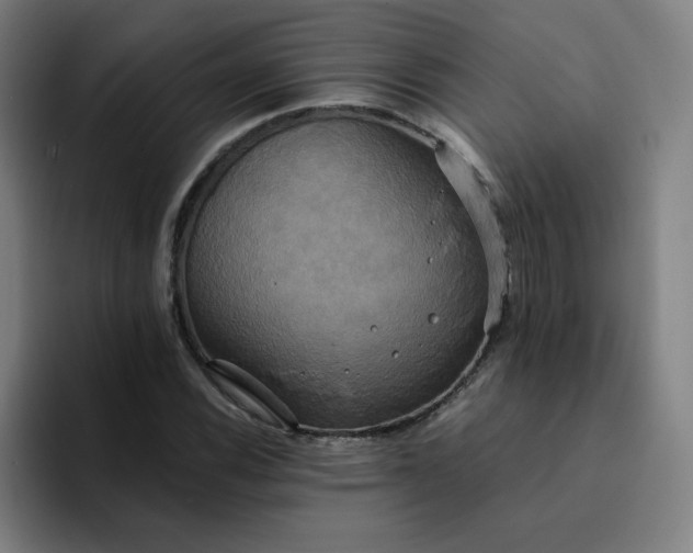 X0000094371116200711162105
