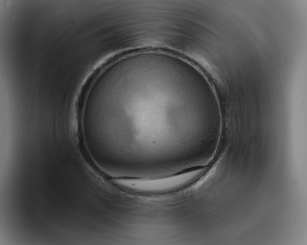 X0000094371118200711162105