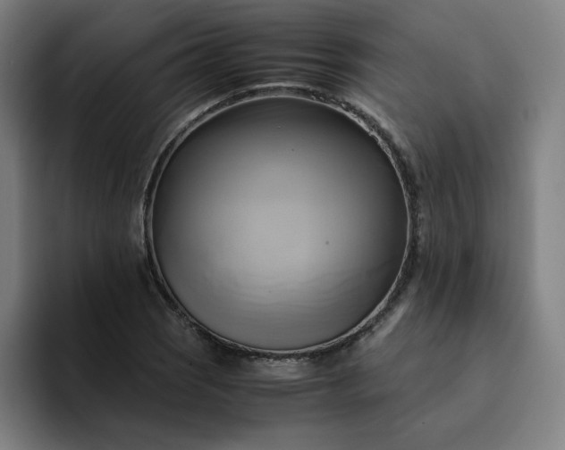 X0000094371121200711162105