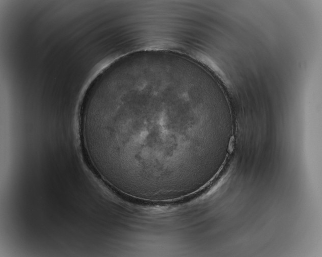X0000094371122200711162105