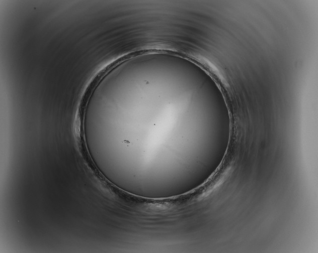 X0000094371125200711162105