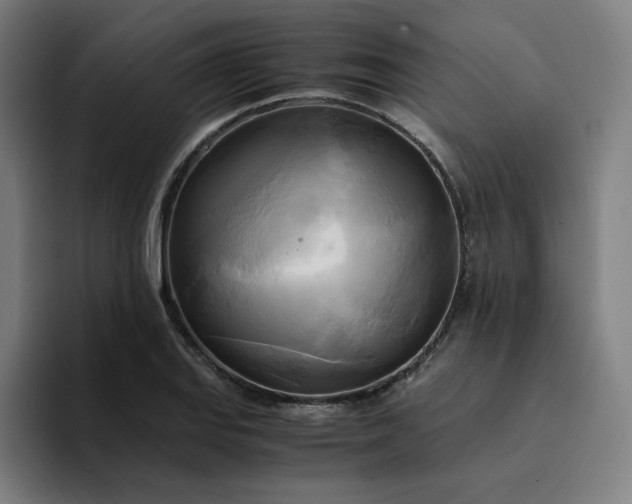 X0000094371127200711162105