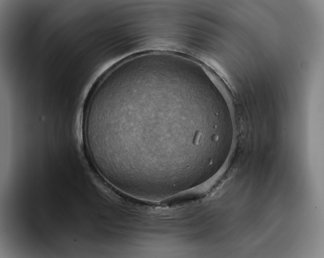 X0000094371128200711162105