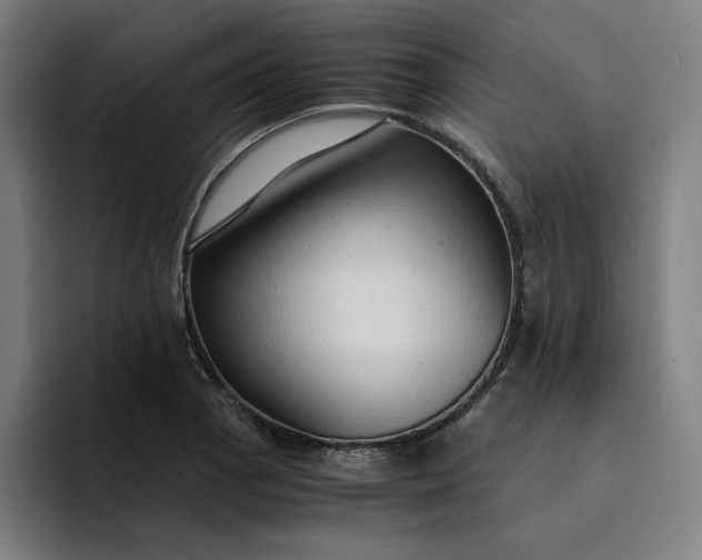 X0000094371129200711162105