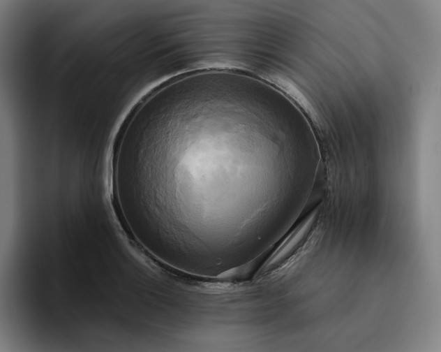 X0000094371132200711162105