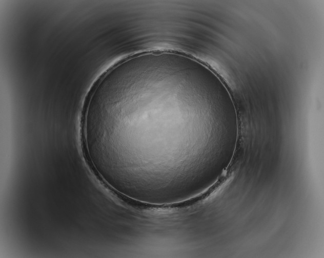 X0000094371134200711162105