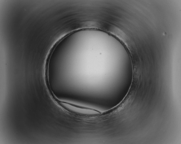 X0000094371135200711162105