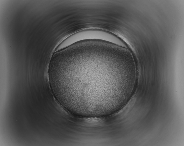 X0000094371137200711162105