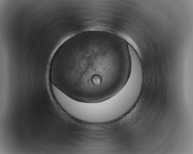 X0000094371138200711162105