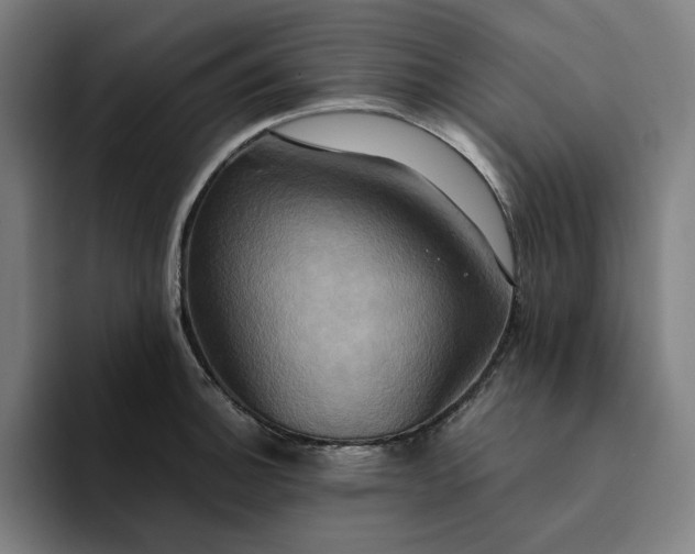 X0000094371140200711162105