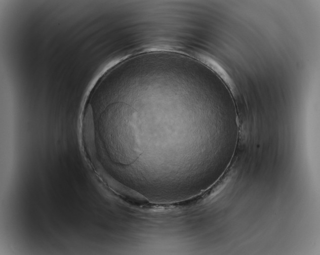 X0000094371146200711162105