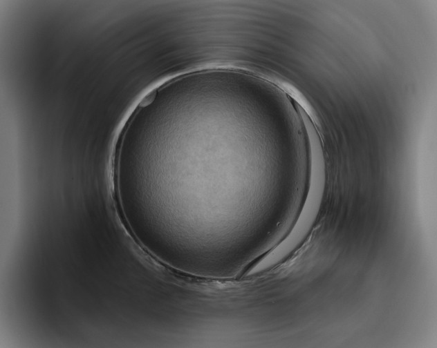 X0000094371148200711162105