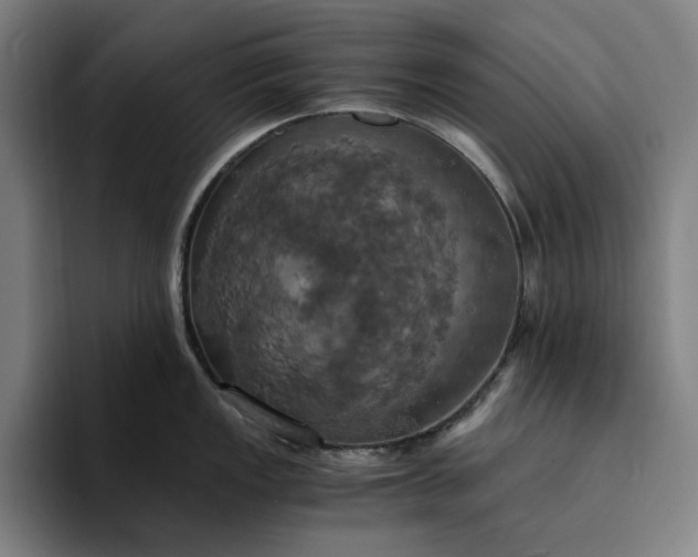 X0000094371149200711162105