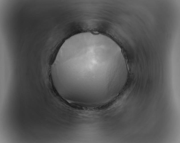 X0000094371153200711162105