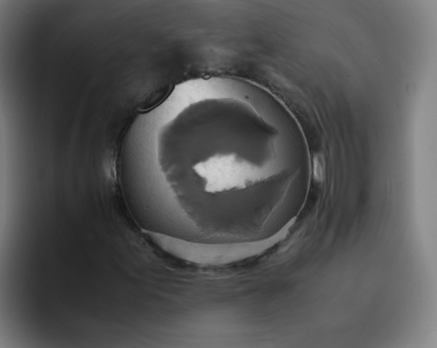 X0000094371155200711162105