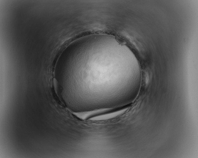 X0000094371157200711162105