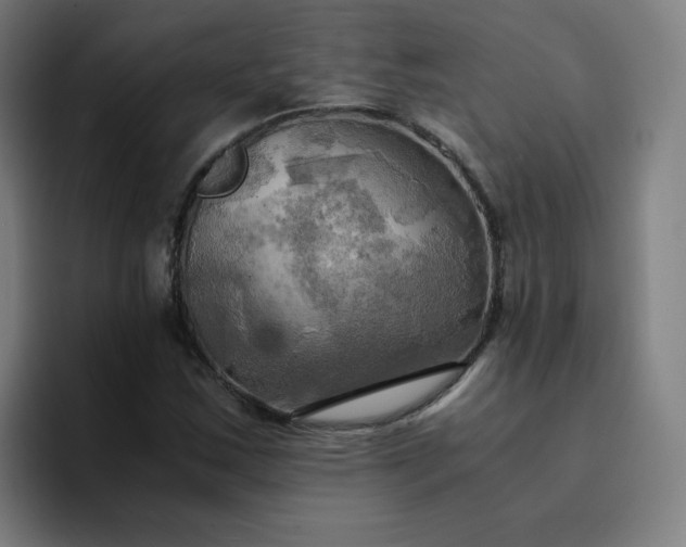 X0000094371163200711162105