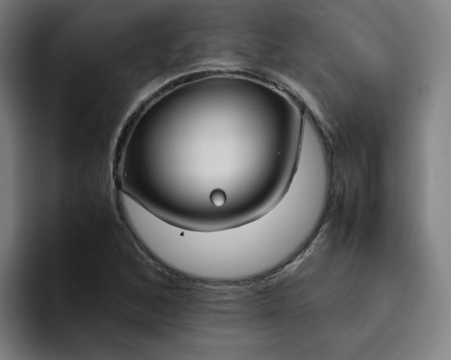 X0000094371168200711162105
