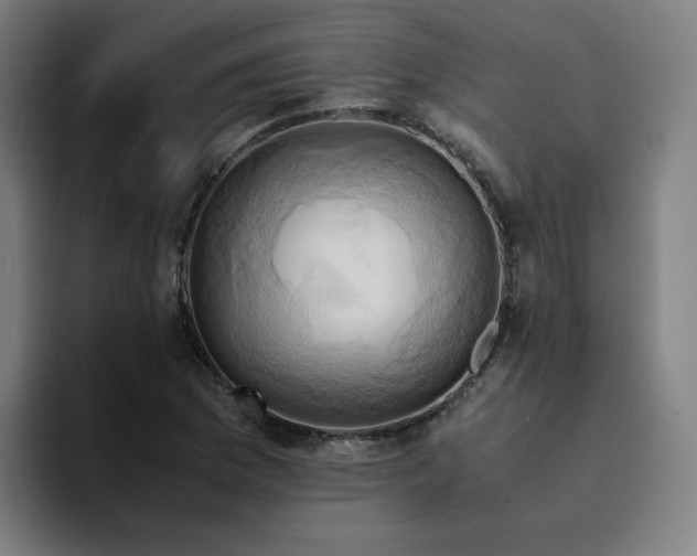 X0000094371169200711162105