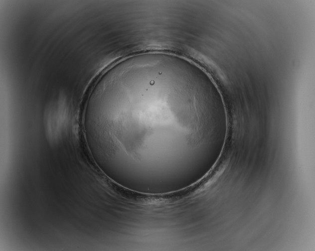 X0000094371170200711162105