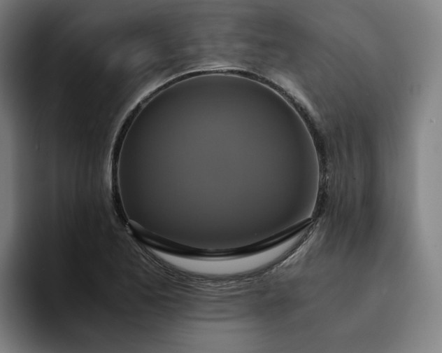 X0000094371173200711162104