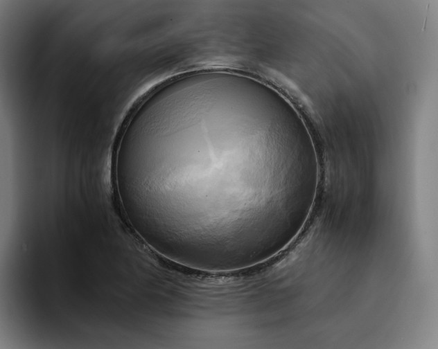 X0000094371174200711162104