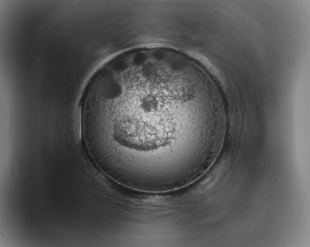 X0000094371175200711162104