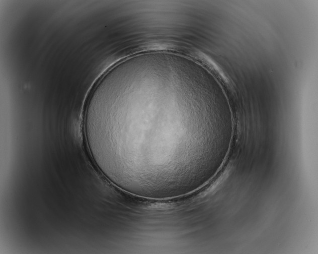 X0000094371178200711162104