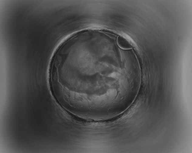 X0000094371183200711162104