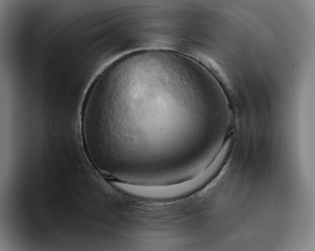 X0000094371184200711162104