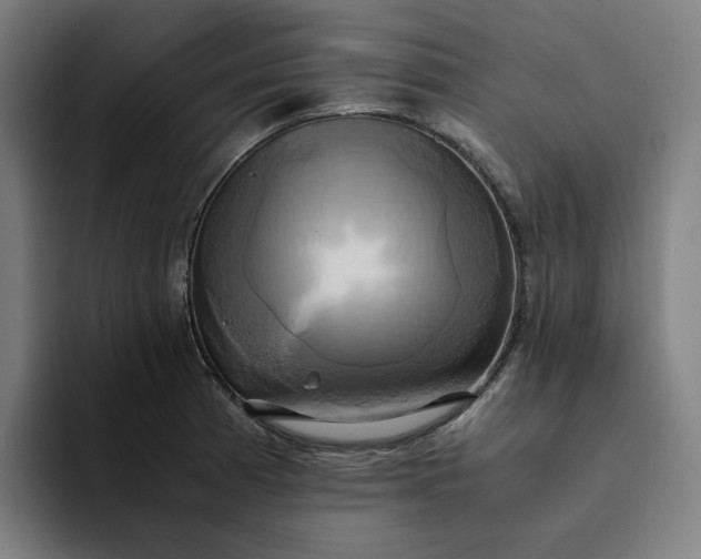 X0000094371185200711162104