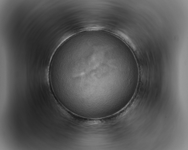 X0000094371186200711162104