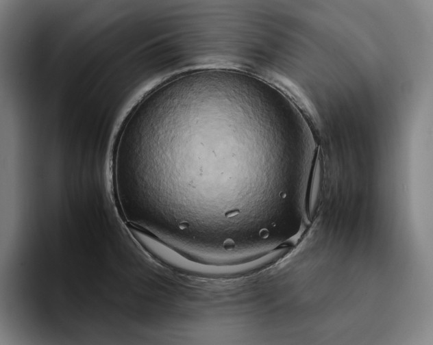 X0000094371188200711162104