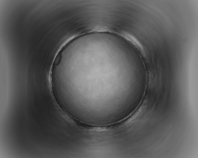 X0000094371190200711162104