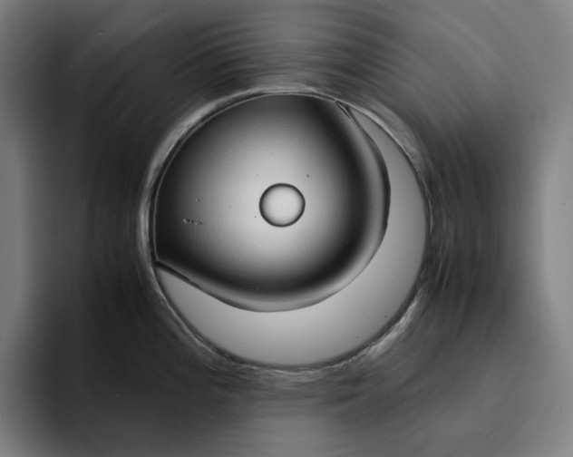 X0000094371196200711162104