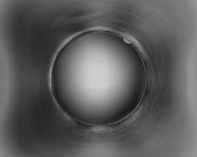 X0000094371199200711162104